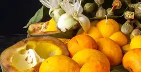 Foto: (Imagem sem texto alternativo disponivel ID [2608691])