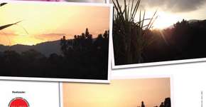 Foto: (Imagem sem texto alternativo disponivel ID [1870984])