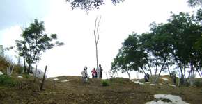 Peças dos séculos XVIII e XIX são encontrada em Irajá