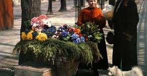 Foto: (Imagem sem texto alternativo disponivel ID [564245])