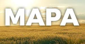 Foto: (Imagem sem texto alternativo disponivel ID [1894768])