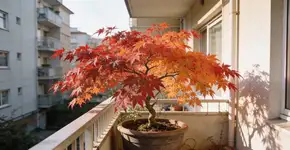 Foto: (Imagem sem texto alternativo disponivel ID [2682308])