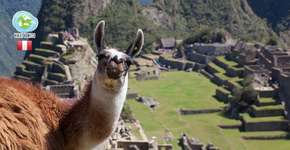 Foto: (Imagem sem texto alternativo disponivel ID [1868395])