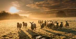 Concurso de fotografia premia imagens que captam paisagens iluminadas por luz natural