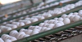 Quer emagrecer? Veja o que comer antes de dormir