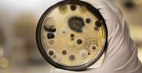 Foto: (AndreasReh/istock)