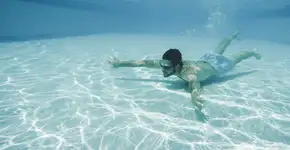 Foto: (Divulgação)