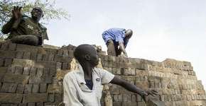 Foto: (Imagem sem texto alternativo disponivel ID [1851615])