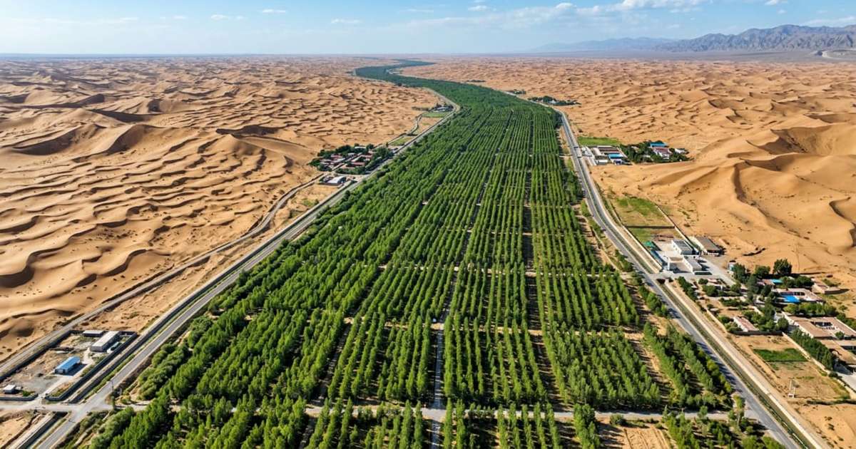 Do deserto à floresta: o 'pulmão na areia' da China 🌱