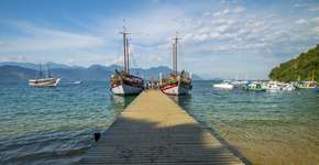 Foto: (Istock/Alexandre_Augusto)