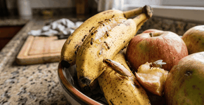 Foto: (Imagem sem texto alternativo disponivel ID [2768027])