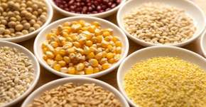 Berlim apresenta o primeiro supermercado sem embalagens