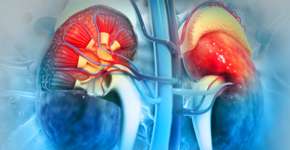 Foto: (iStock/Mohammed Haneefa Nizamudeen)