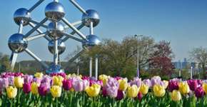 Foto: (Getty Images)