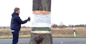 Pintura cria ilusão de ótica e dá a impressão de que árvore está cortada e suspensa