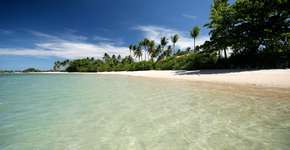 Foto: (Getty Images/iStockphoto)