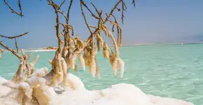 Foto: (suprunvitaly/iStock)