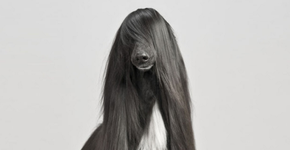 Foto: (Imagem sem texto alternativo disponivel ID [1067816])