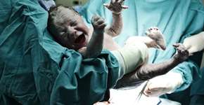 Foto: (Reynardt/istock)