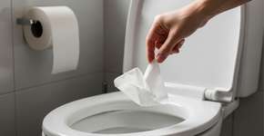 Demorei muito para entender por que o papel higiênico não deve ser jogado no vaso sanitário