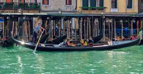 Foto: (Divulgação)