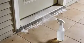 Foto: (Imagem sem texto alternativo disponivel ID [2727561])