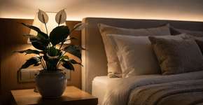 Foto: (Imagem sem texto alternativo disponivel ID [2686626])