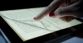 Foto: (Imagem sem texto alternativo disponivel ID [451784])