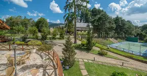 Foto: (Divulgação)