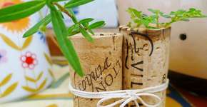 Foto: (Imagem sem texto alternativo disponivel ID [810554])