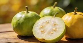 Foto: (Imagem sem texto alternativo disponivel ID [2678310])