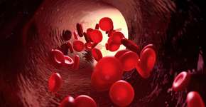 Foto: (Design Cells)