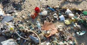 Cientistas alertam que haverá mais plástico que peixes nos oceanos