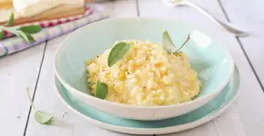 Risoto de alho-poró delicioso