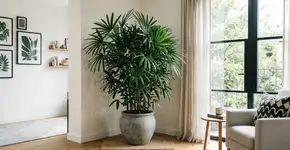 Foto: (Imagem sem texto alternativo disponivel ID [2769411])