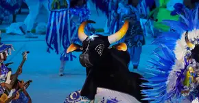 Foto: (Divulgação)