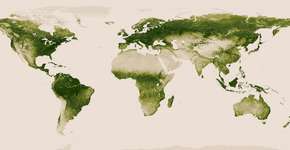 Foto: (Imagem sem texto alternativo disponivel ID [774988])