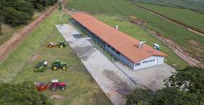 Foto: (Divulgação)