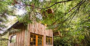 Foto: (Imagem sem texto alternativo disponivel ID [1867376])