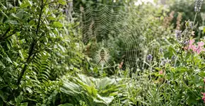 Foto: (Imagem sem texto alternativo disponivel ID [2760066])