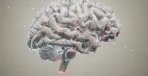 Foto: (Imagem sem texto alternativo disponivel ID [2742596])