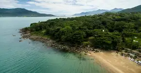 Foto: (Istock/Ildo Frazao)