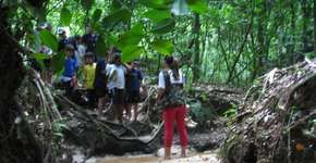 Faça trilhas ecológicas gratuitas guiadas