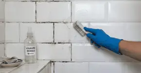 Foto: (Imagem sem texto alternativo disponivel ID [2771216])