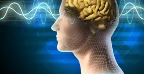 O que a meditação é capaz de fazer com o seu cérebro?