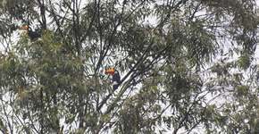 Foto: (Imagem sem texto alternativo disponivel ID [934339])