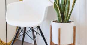 Foto: (Imagem sem texto alternativo disponivel ID [1868943])