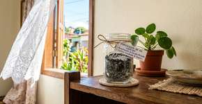 Purificador de ar caseiro: como usar carvão ativado e bicarbonato para limpar o ar do ambiente em dias abafados