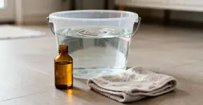 Foto: (Imagem sem texto alternativo disponivel ID [2671337])