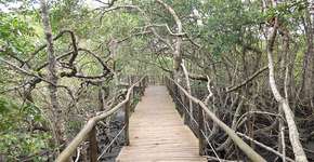 Carnaval 2025: 5 lugares tranquilos para fugir da folia e relaxar